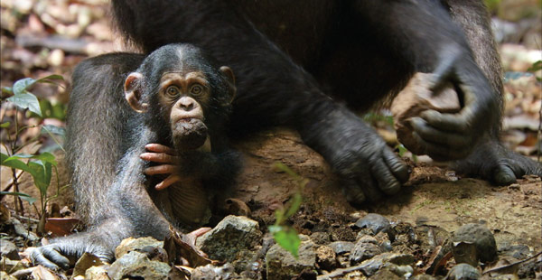 Oscar with a parent