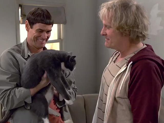 Dumb And Dumber To Trailer