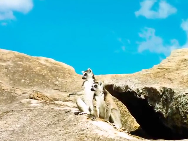 Island Of Lemurs: Madagascar Trailer