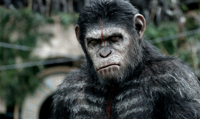 Dawn of the Planet of the Apes Movie Still
