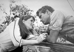 East Of Eden Movie Review