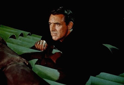 Carey Grant in Hitchcocks To Catch a Thief