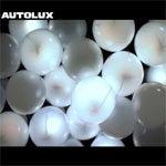 Autolux - Future Perfect - Album Review