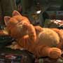 Garfield - America 's favorite feline, is about to become a major motion picture star