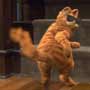 Garfield - America 's favorite feline, is about to become a major motion picture star
