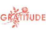 Gratitude - This Is The Part (Atlantic 01/08/2005) - Single Review