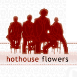 Hothouse Flowers - End Of The Road - Single Review