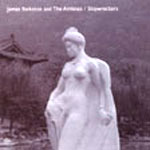 James Yorkston and the Athletes - Shipwreckers - Single Review 