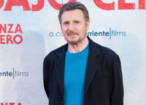 Liam Neeson Cast In Car Chase Movie Mongoose