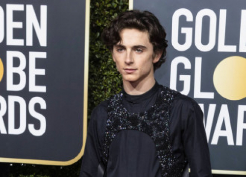 TimothéE Chalamet Would Do A Superhero Movie For The Right Director And Script