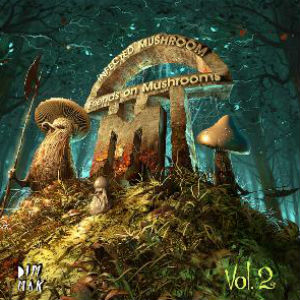 Infected Mushroom To Release 'Friends On Mushrooms, Vol. 2' On July 16 2013