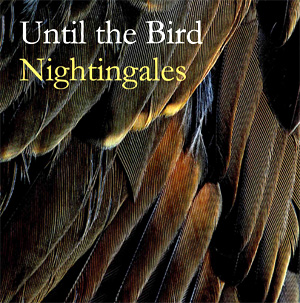 Until The Bird Announces New Single 'Nightingales' Out March 3rd 2014 From Upcoming Album 'Pale Clouded Yellow'