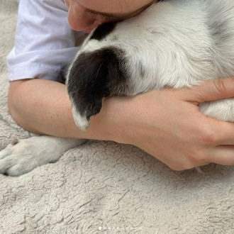 'This is a really hard day': Billie Eilish mourns loss of beloved childhood dog
