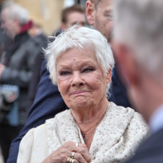 Judi Dench fired agent after theme park plunge