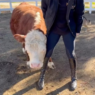 Kaley Cuoco and Tom Pelphrey welcome new addition... a rescue cow