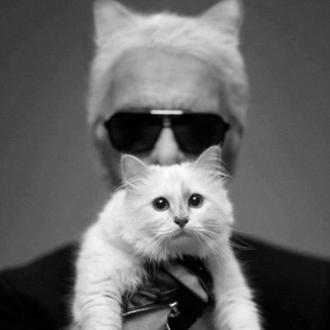 Karl Lagerfeld and Choupette star in new campaign