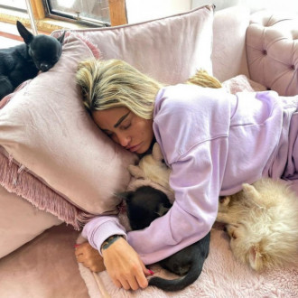 Katie Price adds SEVENTH dog to her pet collection after petition launched to ban her from keeping animals