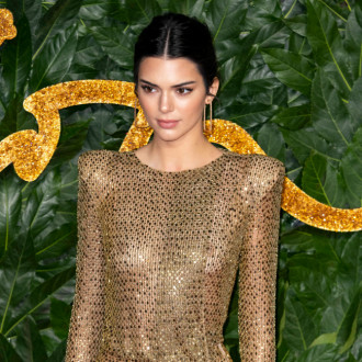 Kendall Jenner cited for running a stop sign