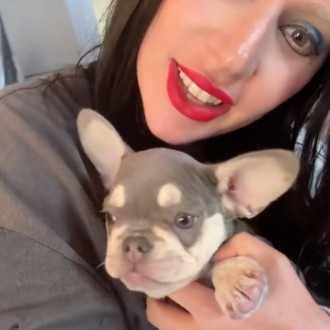 Lady Gaga gets new pup three years after dognapping horror