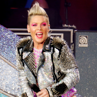 Pink 'slipped under the radar' during a family day out