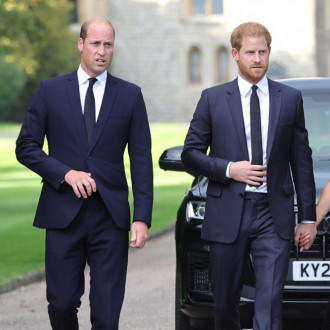 Prince Harry ‘alarmed’ by Prince William’s hair loss