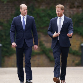 Prince William accused Prince Harry of being 'brainwashed' by therapist