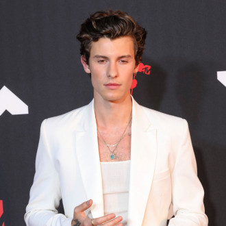 Shawn Mendes is learning to accept 'the lows of life'
