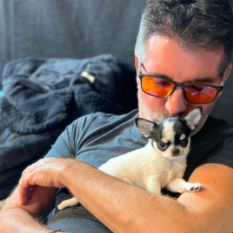 Simon Cowell adopts another puppy