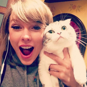 Animal experts warn against buying Scottish Fold cats like Taylor Swift's