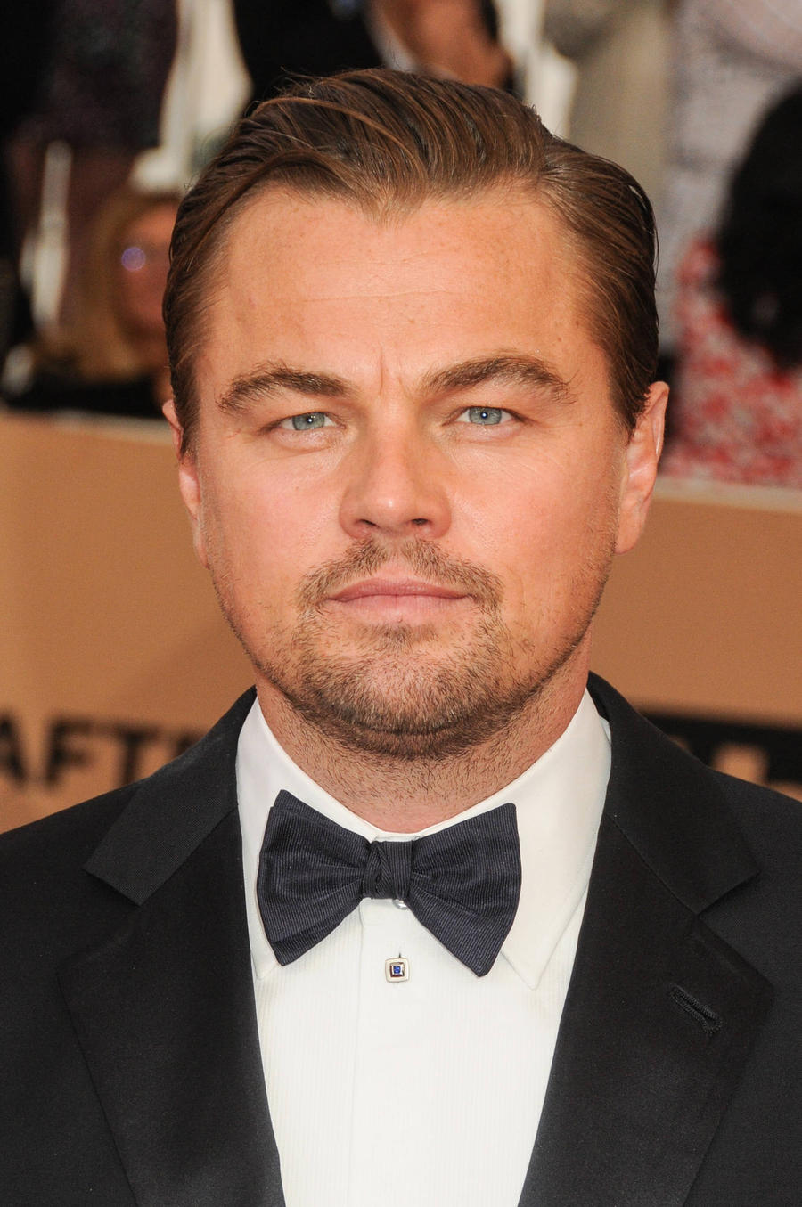 Leonardo Dicaprio Producing Climate Change-themed Young Adult Novel Adaptation